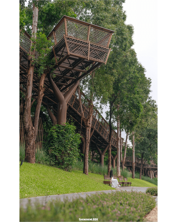 深圳南山大沙河森林棧道🌿似巨型過山車打卡散步一流🎢仲有360°全景玻璃樹屋✨