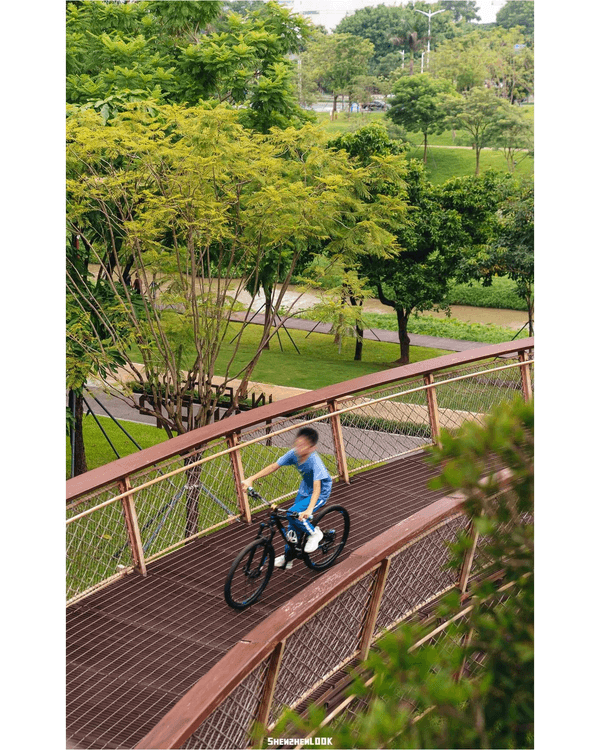 深圳南山大沙河森林棧道🌿似巨型過山車打卡散步一流🎢仲有360°全景玻璃樹屋✨