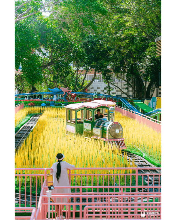 深圳南山中山公園遊樂場重開🎡23款機動遊戲➕️6大免費設施🤩週末帶小朋友放電必玩‼️