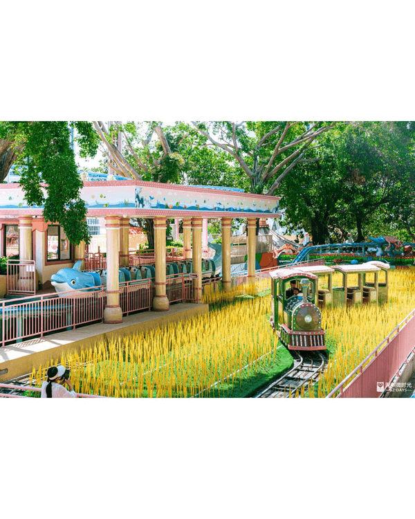 深圳南山中山公園遊樂場重開🎡23款機動遊戲➕️6大免費設施🤩週末帶小朋友放電必玩‼️