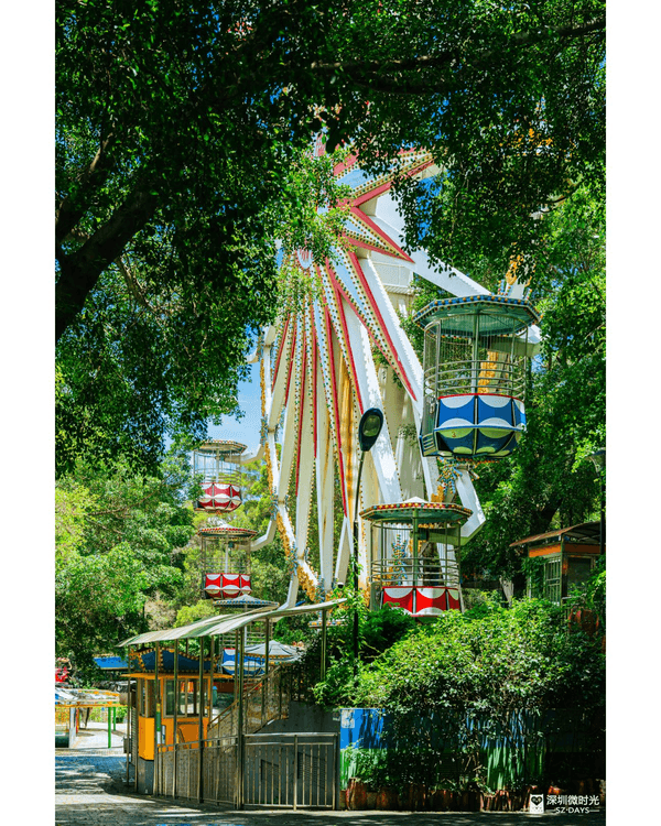 深圳南山中山公園遊樂場重開🎡23款機動遊戲➕️6大免費設施🤩週末帶小朋友放電必玩‼️