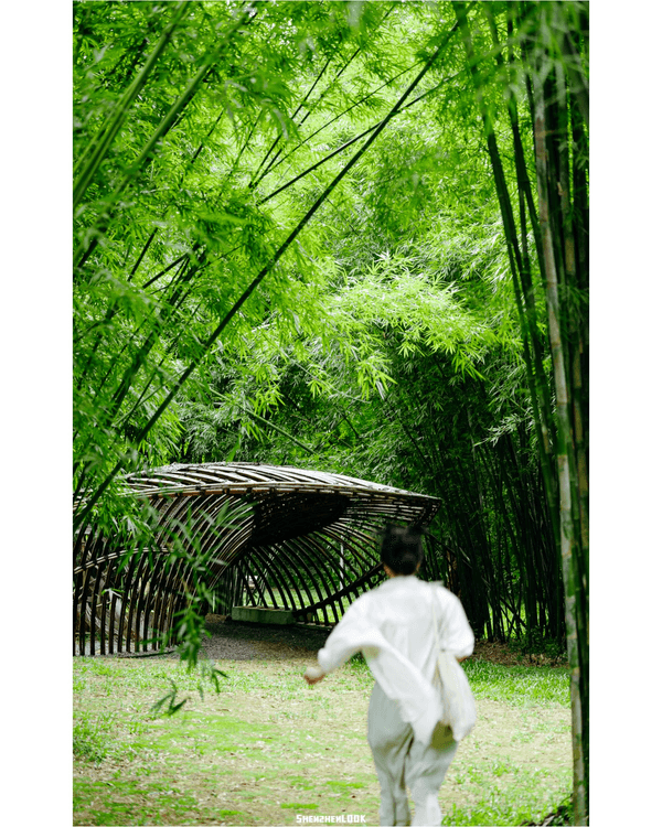深圳蛇口森林浴Citywalk🌳漫步荔園路➕️恩上濕地睇300歲古樹🌿打卡消暑一流🚶‍♂️