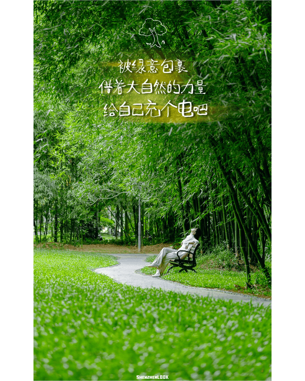 深圳蛇口森林浴Citywalk🌳漫步荔園路➕️恩上濕地睇300歲古樹🌿打卡消暑一流🚶‍♂️