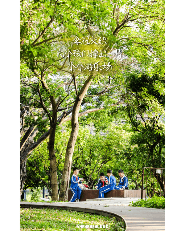 深圳蛇口森林浴Citywalk🌳漫步荔園路➕️恩上濕地睇300歲古樹🌿打卡消暑一流🚶‍♂️