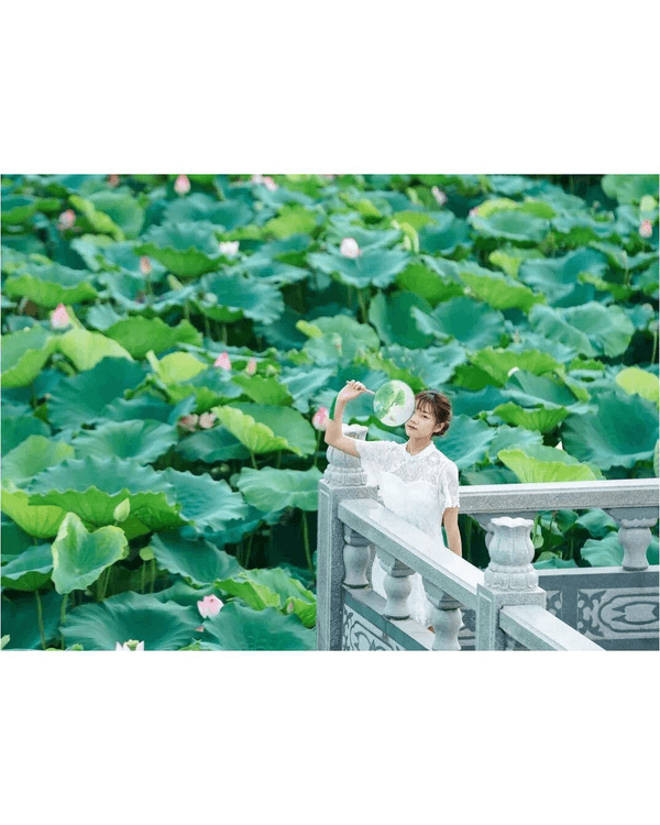 深圳羅湖洪湖公園荷花盛放🪷免費打卡📸黃瓦亭配粉荷隨手影出江南風情🍃