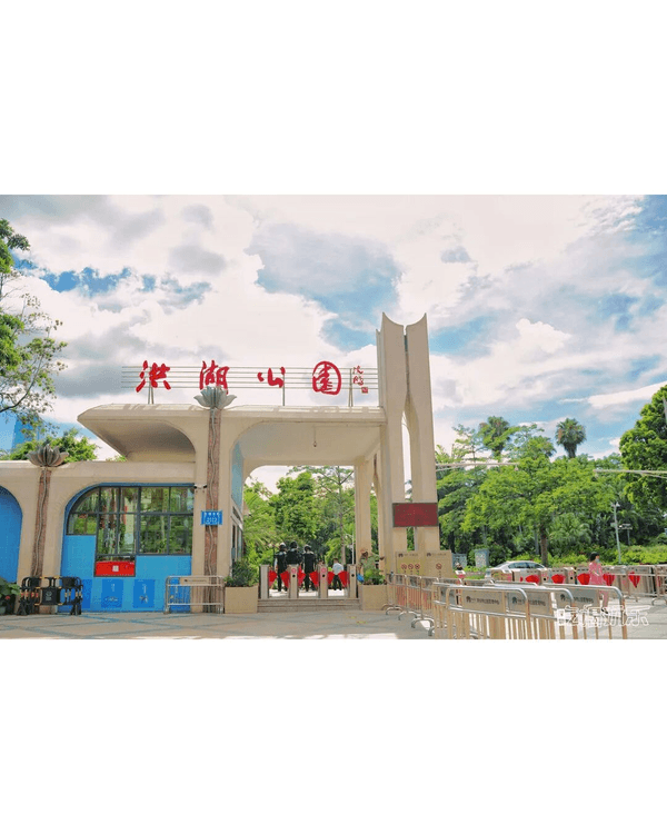 深圳羅湖洪湖公園荷花盛放🪷免費打卡📸黃瓦亭配粉荷隨手影出江南風情🍃