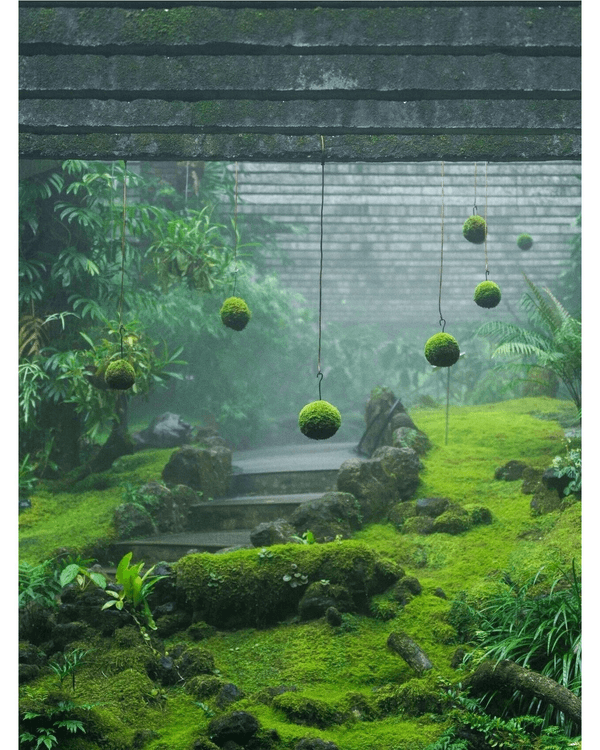 深圳落雨3大閒逛好去處☔️漫步植物園、打卡瀑布綠植茶館🍵陰雨天都勁治癒🌱