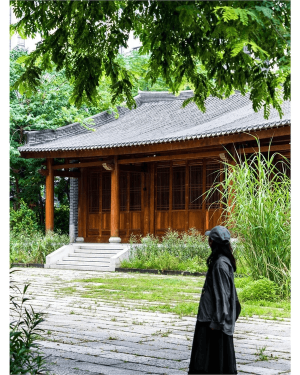 深圳落雨3大閒逛好去處☔️漫步植物園、打卡瀑布綠植茶館🍵陰雨天都勁治癒🌱