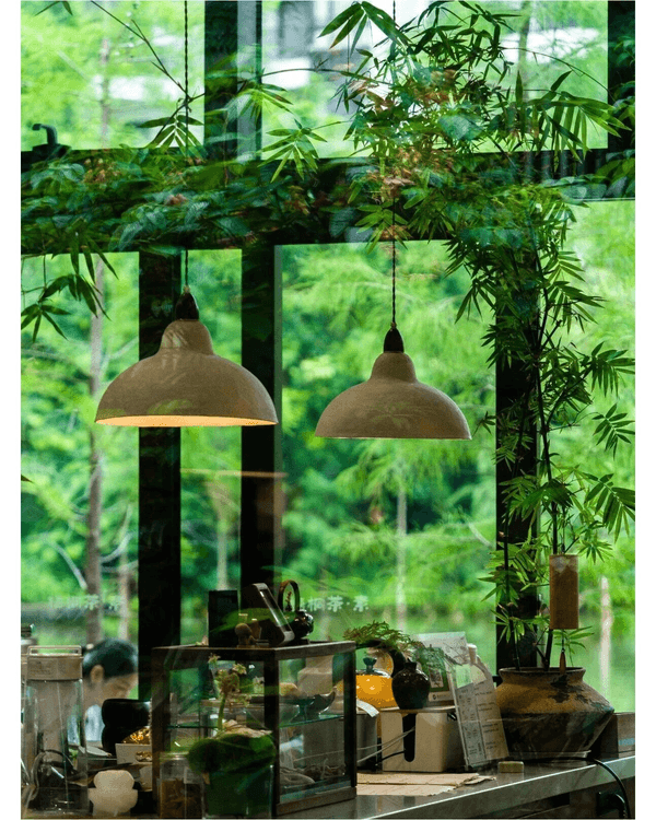 深圳落雨3大閒逛好去處☔️漫步植物園、打卡瀑布綠植茶館🍵陰雨天都勁治癒🌱