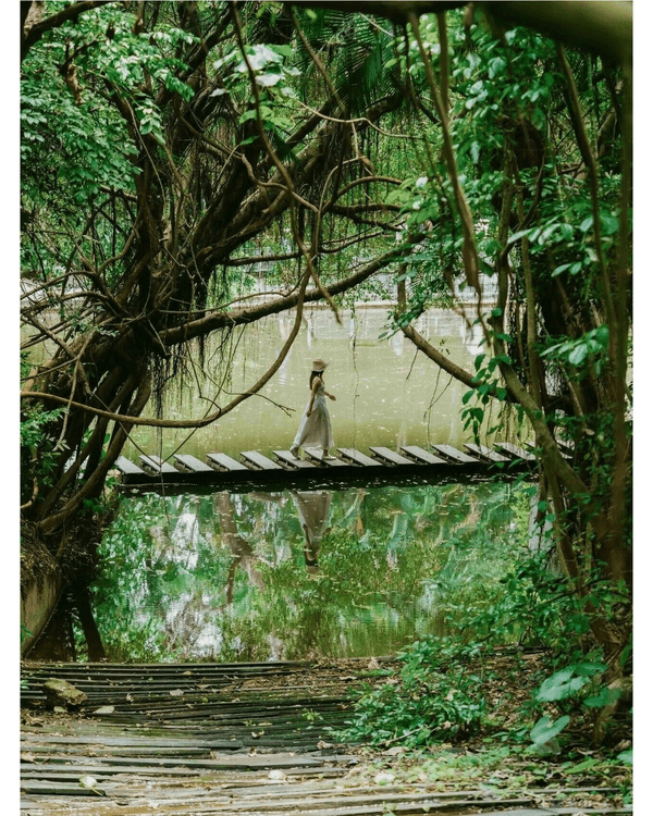 深圳落雨3大閒逛好去處☔️漫步植物園、打卡瀑布綠植茶館🍵陰雨天都勁治癒🌱