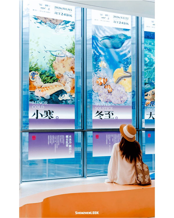 深圳歡樂海岸夏日市集🌊40+攤位➕️夜間音樂會勁chill✨海洋館打卡唯美水母必去🪼
