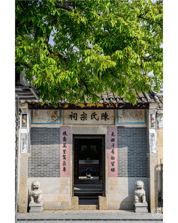 深圳龍華Citywalk打卡地圖🚶‍♀️斥資10億高迪風大廈✨童話蘑菇山丘必打卡🍄🤩