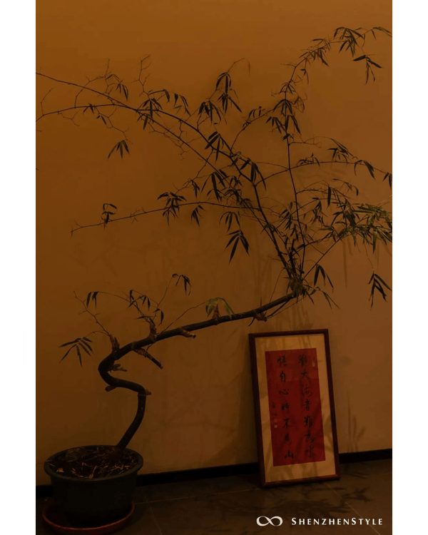 深圳福田6大公園Cafe打卡指南🌳蘋果小屋勁可愛🍎全白玻璃屋放鬆必去✨