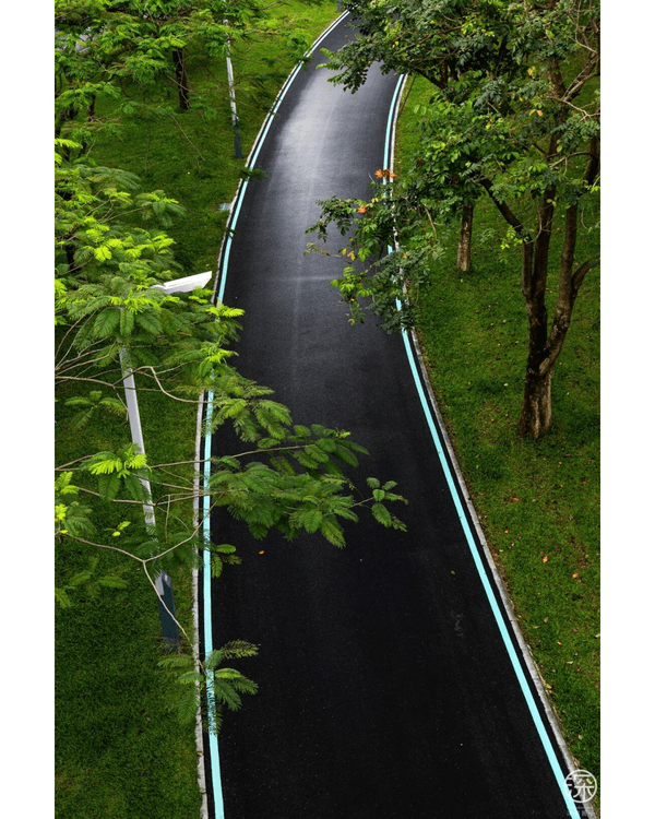 深圳光明區新地標Citywalk🔥4KM紅橋➕️森林古塔放鬆必去🍃仲可以歎埋馳名乳鴿
