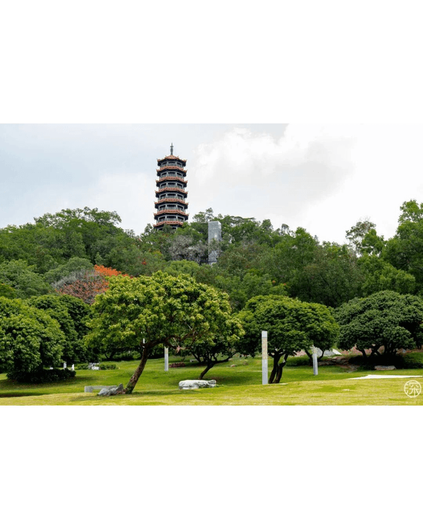 深圳光明區新地標Citywalk🔥4KM紅橋➕️森林古塔放鬆必去🍃仲可以歎埋馳名乳鴿