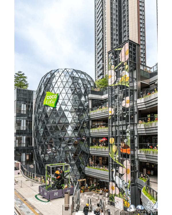 深圳光明區新地標Citywalk🔥4KM紅橋➕️森林古塔放鬆必去🍃仲可以歎埋馳名乳鴿