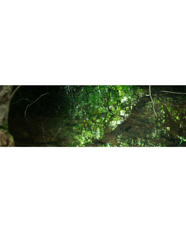 深圳最大瀑布群馬巒山觀賞攻略💧新手友善難度低❗️放假溯溪、露營一流✨