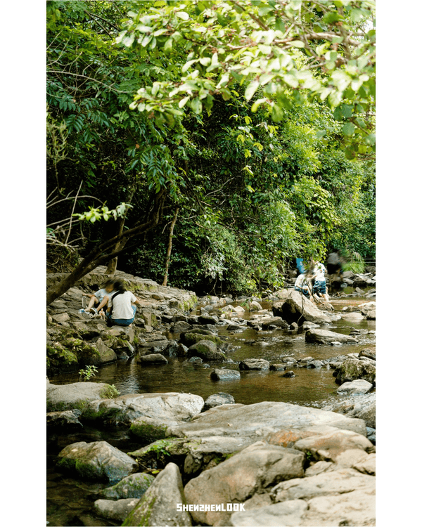 深圳最大瀑布群馬巒山觀賞攻略💧新手友善難度低❗️放假溯溪、露營一流✨