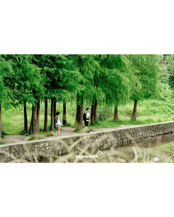 深圳最大瀑布群馬巒山觀賞攻略💧新手友善難度低❗️放假溯溪、露營一流✨
