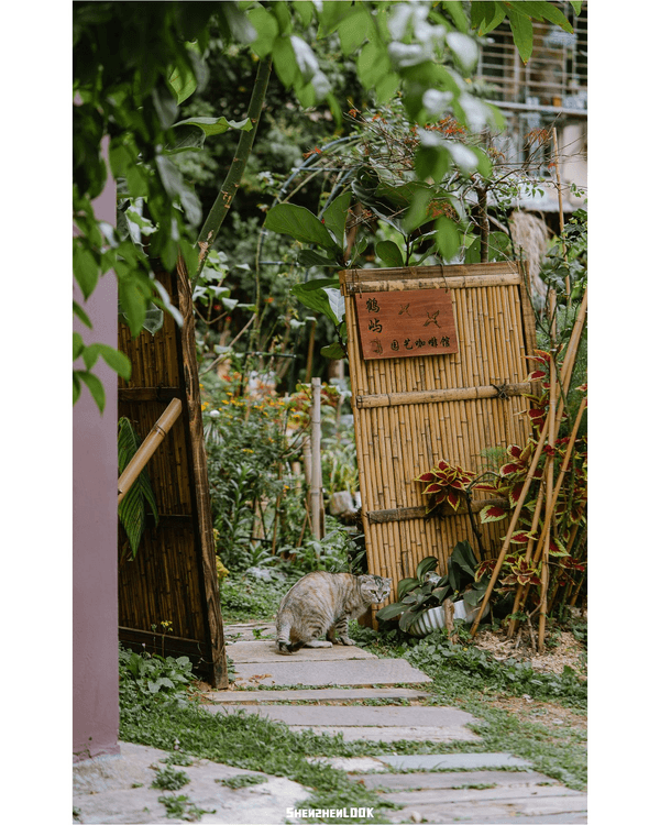 深圳羅湖怡景文青Citywalk🚶‍♀️10大特色小店Cafe+21層新圖書館✨散步必去