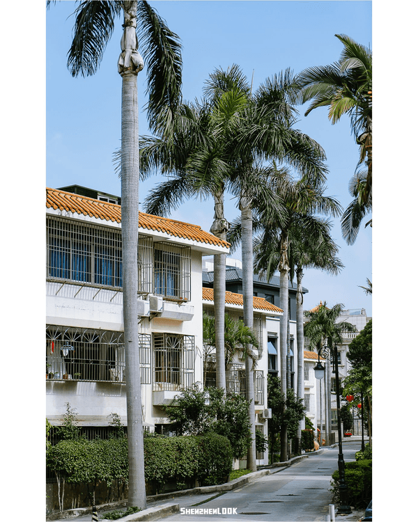 深圳羅湖怡景文青Citywalk🚶‍♀️10大特色小店Cafe+21層新圖書館✨散步必去