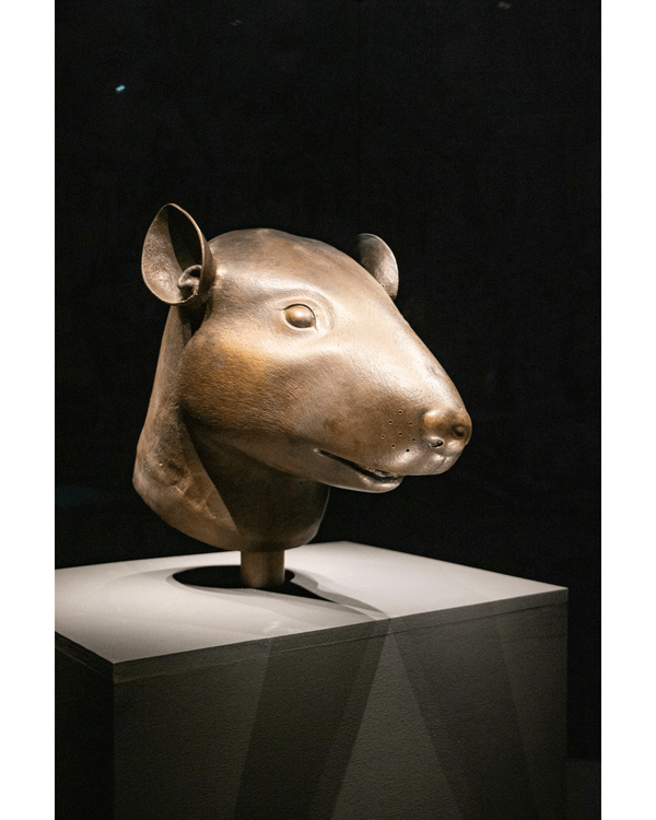 深圳光明新巨型美術館開幕🎨睇圓明園4尊真品獸首🐴打卡絕美月亮門光影！