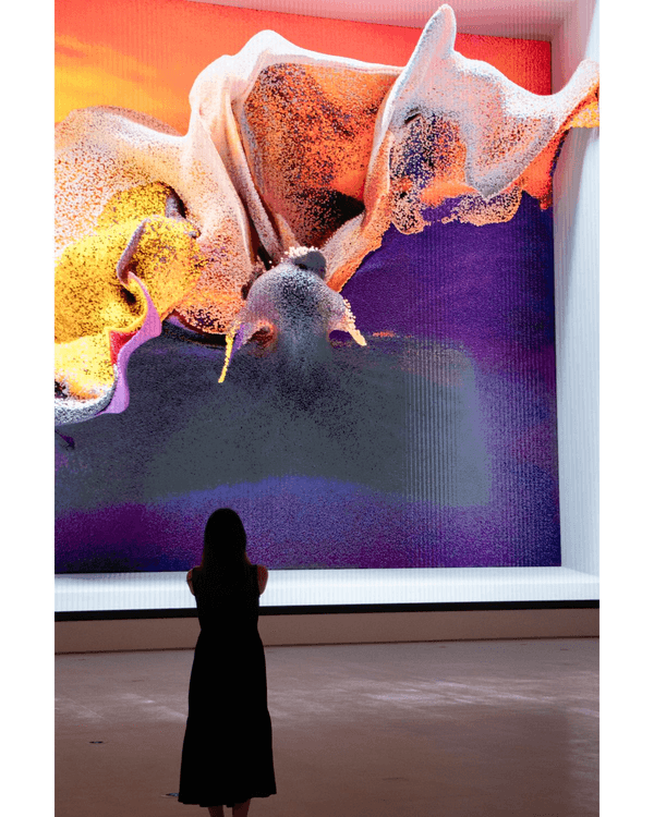 深圳光明新巨型美術館開幕🎨睇圓明園4尊真品獸首🐴打卡絕美月亮門光影！