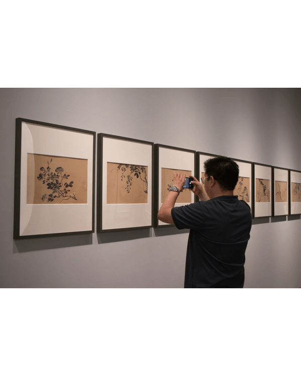 深圳光明新巨型美術館開幕🎨睇圓明園4尊真品獸首🐴打卡絕美月亮門光影！
