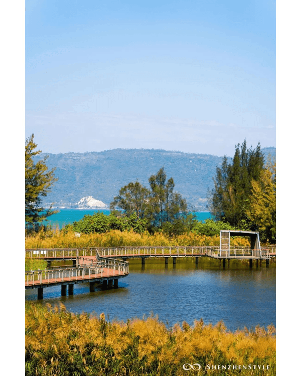 深圳5個隱世睇海公園攻略🌊翻版阿勒泰草坪＋山頂Cafe賞海景☕️放假Chill到爆😍