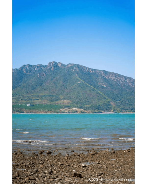 深圳5個隱世睇海公園攻略🌊翻版阿勒泰草坪＋山頂Cafe賞海景☕️放假Chill到爆😍