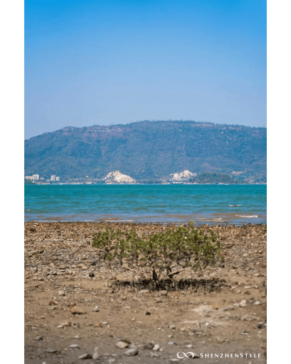 深圳5個隱世睇海公園攻略🌊翻版阿勒泰草坪＋山頂Cafe賞海景☕️放假Chill到爆😍