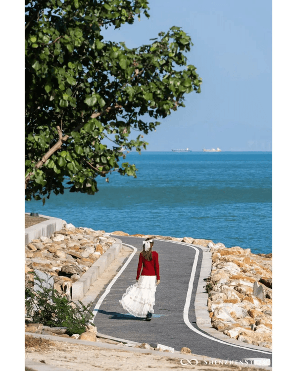 深圳5個隱世睇海公園攻略🌊翻版阿勒泰草坪＋山頂Cafe賞海景☕️放假Chill到爆😍