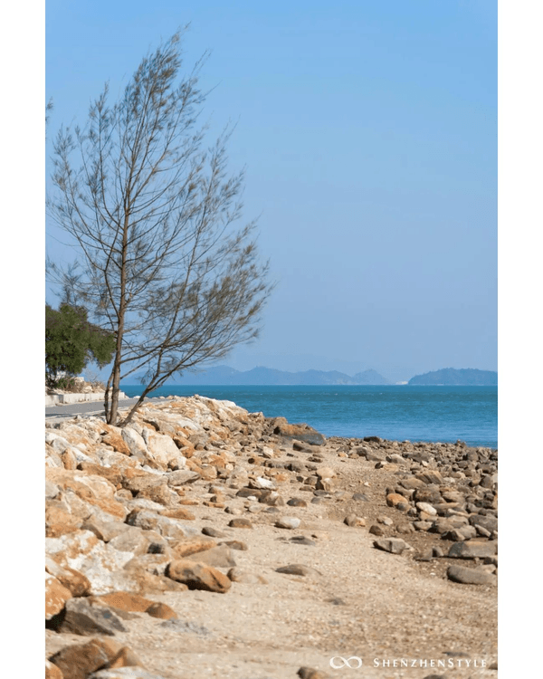 深圳5個隱世睇海公園攻略🌊翻版阿勒泰草坪＋山頂Cafe賞海景☕️放假Chill到爆😍