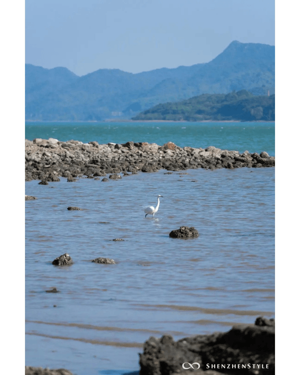 深圳5個隱世睇海公園攻略🌊翻版阿勒泰草坪＋山頂Cafe賞海景☕️放假Chill到爆😍