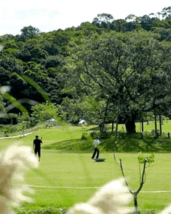 深圳5個隱世睇海公園攻略🌊翻版阿勒泰草坪＋山頂Cafe賞海景☕️放假Chill到爆😍