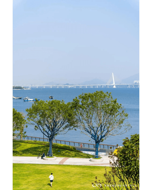 深圳5個隱世睇海公園攻略🌊翻版阿勒泰草坪＋山頂Cafe賞海景☕️放假Chill到爆😍