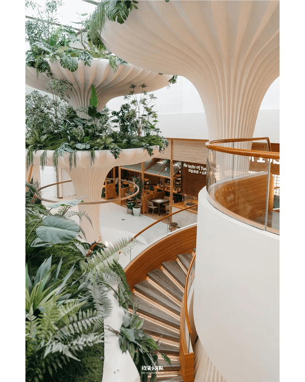 深圳深業上城新街區THE GARDENS🛍️11間餐廳推薦✨冠軍板前料理、雲南奶茶必衝🤤