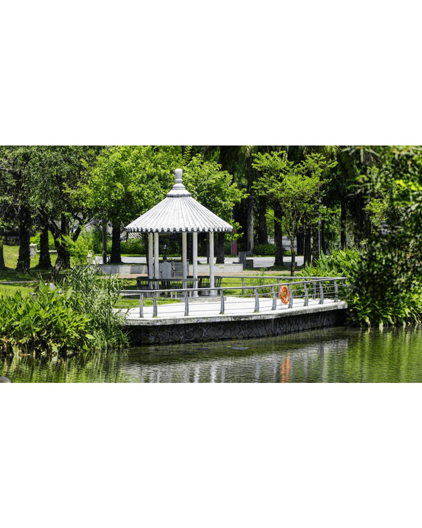 深圳蛇口四海公園避暑一流🌳白色玻璃屋Cafe+睇夏日白荷花海☕️大草坪樹蔭放空勁Chill