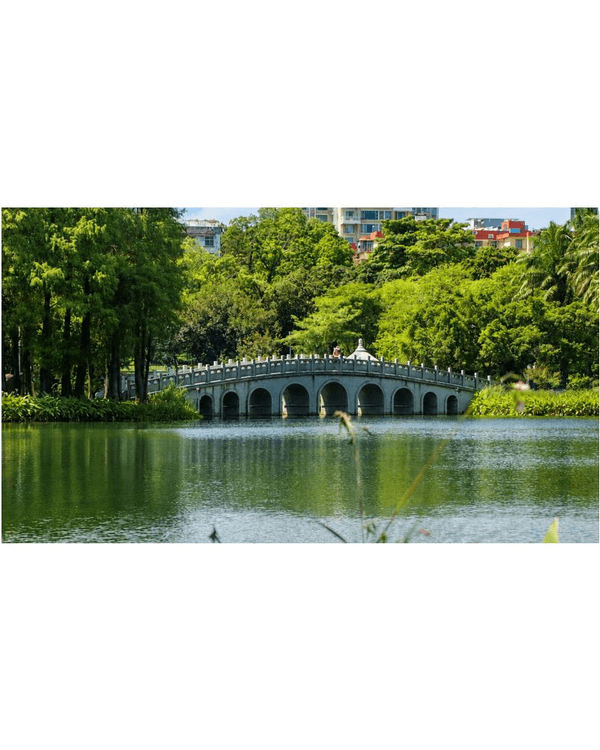 深圳蛇口四海公園避暑一流🌳白色玻璃屋Cafe+睇夏日白荷花海☕️大草坪樹蔭放空勁Chill