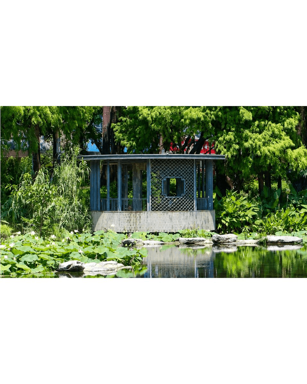 深圳蛇口四海公園避暑一流🌳白色玻璃屋Cafe+睇夏日白荷花海☕️大草坪樹蔭放空勁Chill