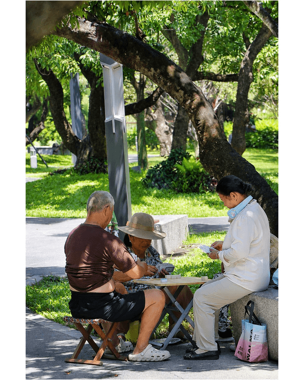 深圳蛇口四海公園避暑一流🌳白色玻璃屋Cafe+睇夏日白荷花海☕️大草坪樹蔭放空勁Chill