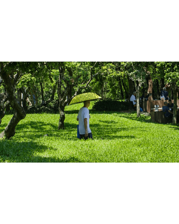 深圳蛇口四海公園避暑一流🌳白色玻璃屋Cafe+睇夏日白荷花海☕️大草坪樹蔭放空勁Chill