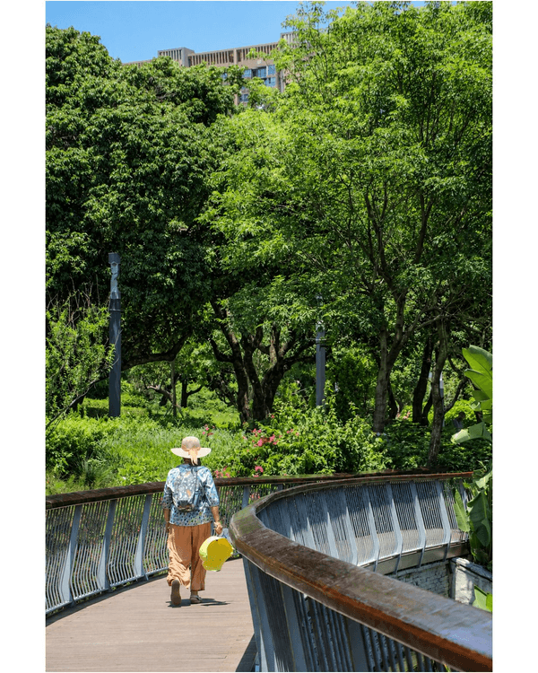 深圳蛇口四海公園避暑一流🌳白色玻璃屋Cafe+睇夏日白荷花海☕️大草坪樹蔭放空勁Chill