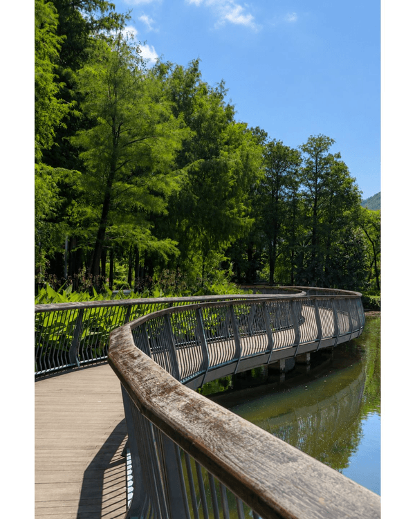 深圳蛇口四海公園避暑一流🌳白色玻璃屋Cafe+睇夏日白荷花海☕️大草坪樹蔭放空勁Chill