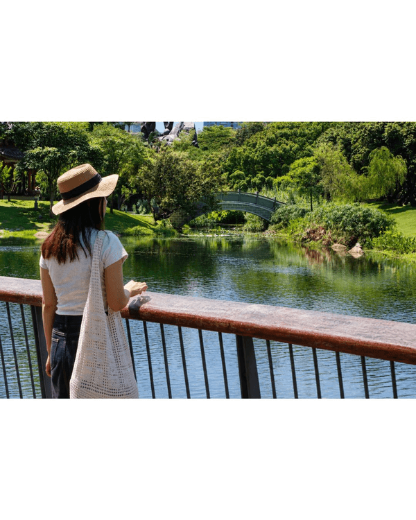 深圳蛇口四海公園避暑一流🌳白色玻璃屋Cafe+睇夏日白荷花海☕️大草坪樹蔭放空勁Chill
