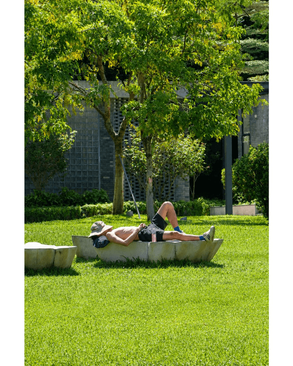 深圳蛇口四海公園避暑一流🌳白色玻璃屋Cafe+睇夏日白荷花海☕️大草坪樹蔭放空勁Chill