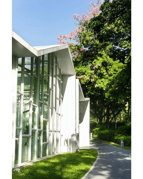 深圳蛇口四海公園避暑一流🌳白色玻璃屋Cafe+睇夏日白荷花海☕️大草坪樹蔭放空勁Chill