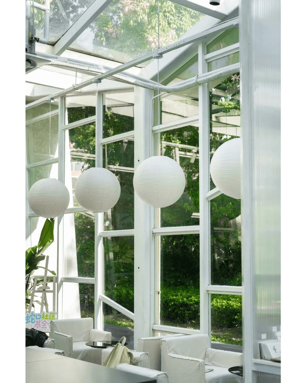 深圳蛇口四海公園避暑一流🌳白色玻璃屋Cafe+睇夏日白荷花海☕️大草坪樹蔭放空勁Chill