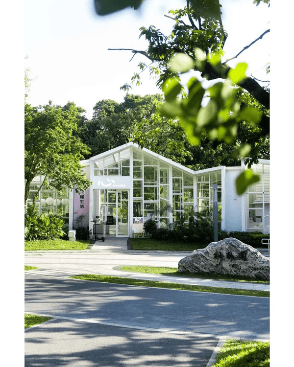 深圳蛇口四海公園避暑一流🌳白色玻璃屋Cafe+睇夏日白荷花海☕️大草坪樹蔭放空勁Chill
