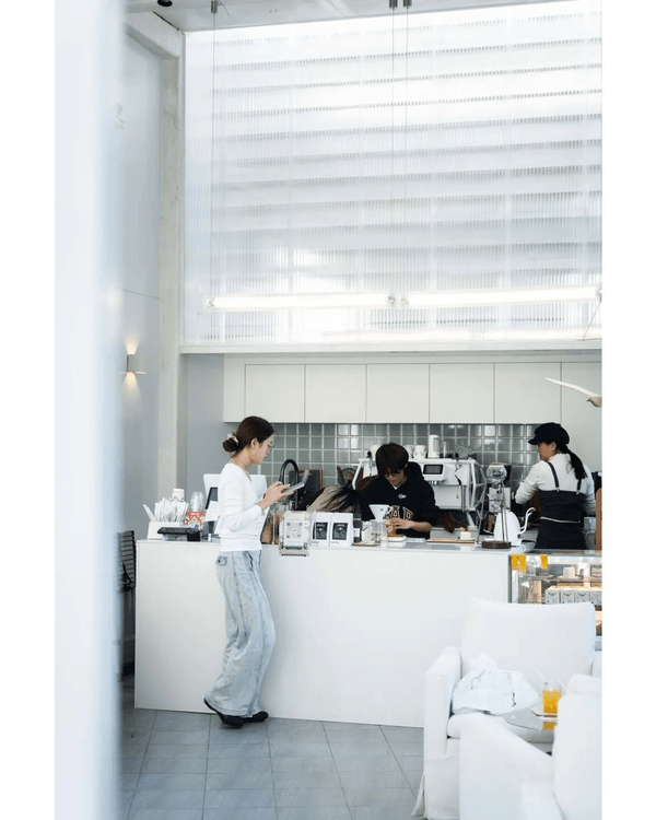 深圳蛇口四海公園避暑一流🌳白色玻璃屋Cafe+睇夏日白荷花海☕️大草坪樹蔭放空勁Chill